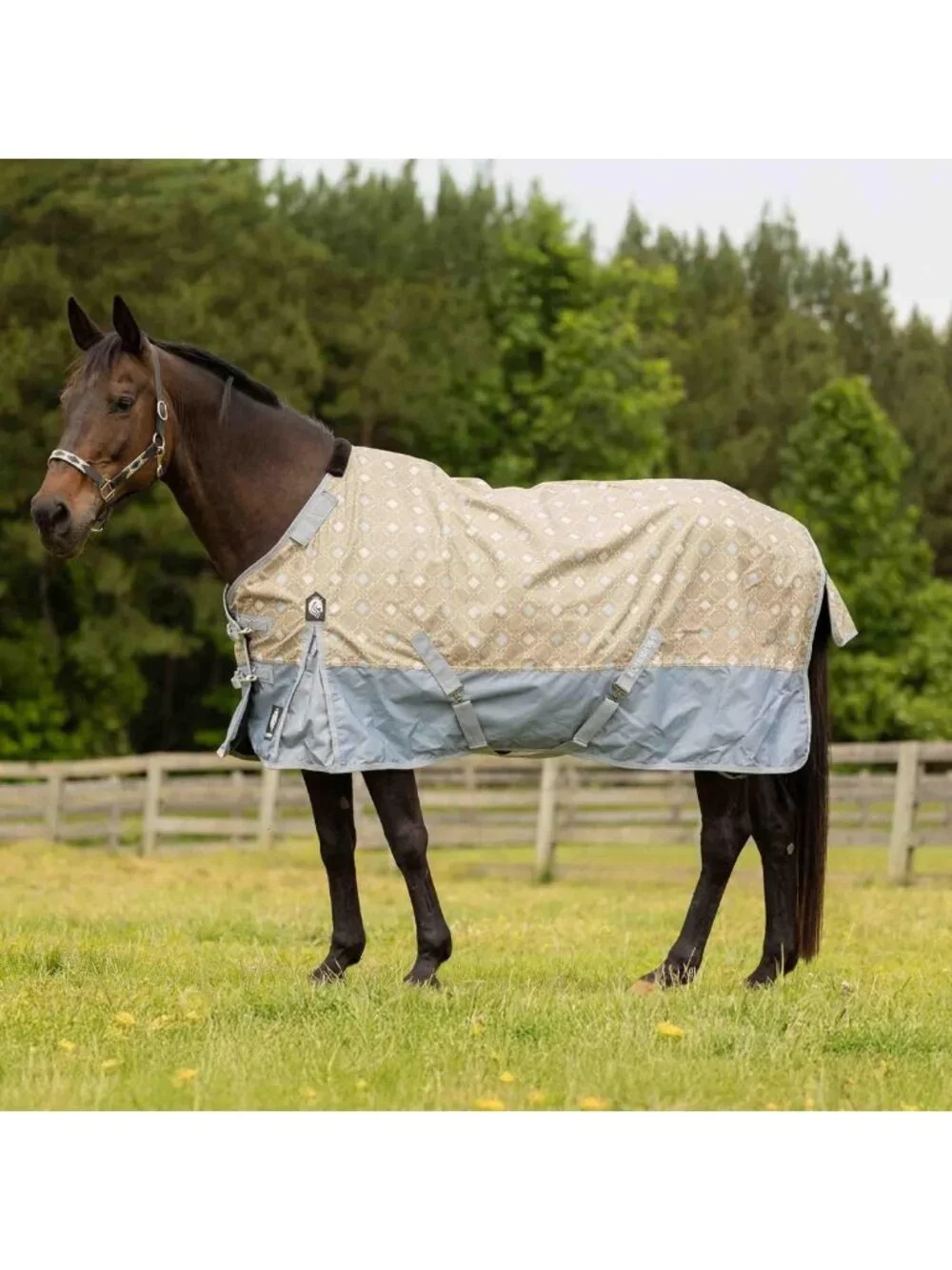 Lightweight Waterproof Turnout Blanket, 100g Rain Sheet for Horses, Durable